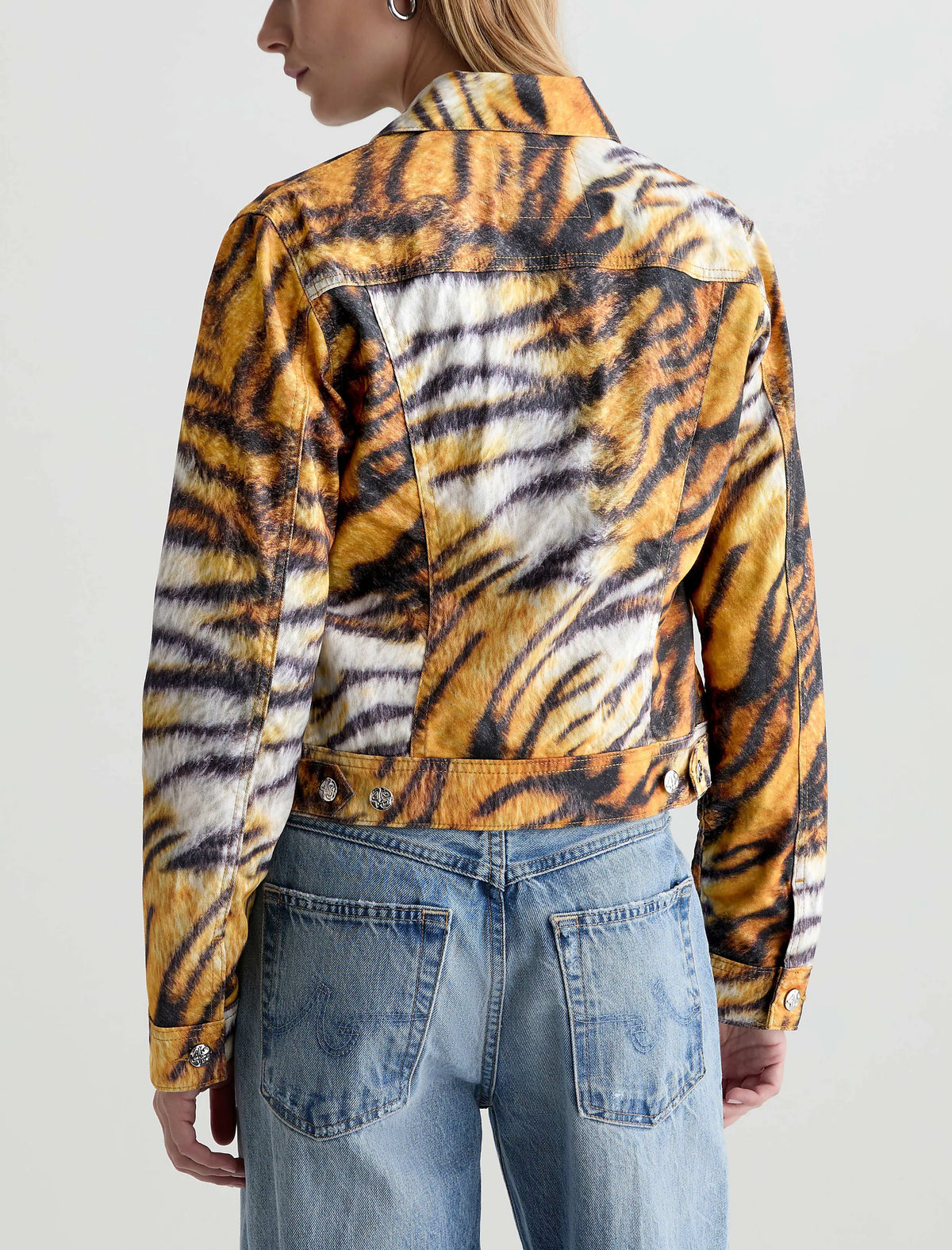 WILD TIGER