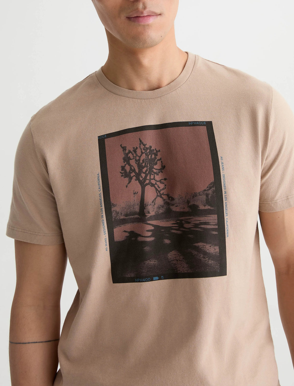 P TREE FILM WILD TAUPE