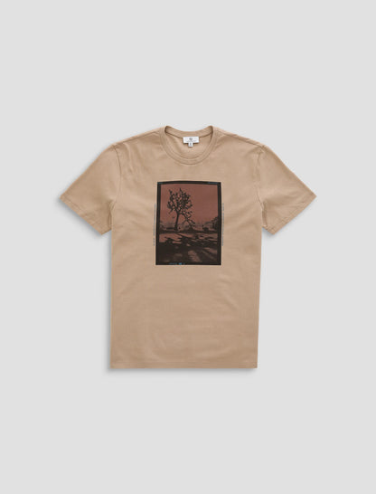 P TREE FILM WILD TAUPE
