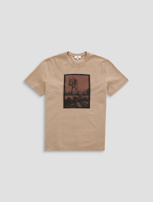 P TREE FILM WILD TAUPE