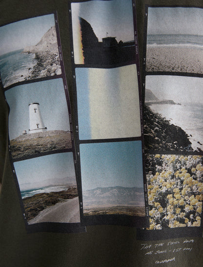 P CALI FILM FOREST MOSS