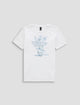 P SUN DAISY TRUE WHITE