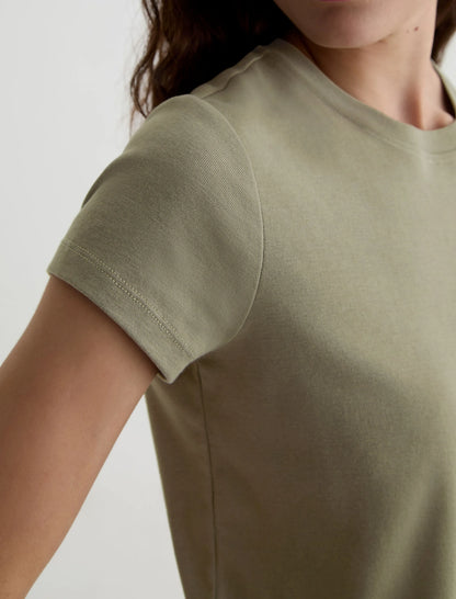 SPRUCE GREEN