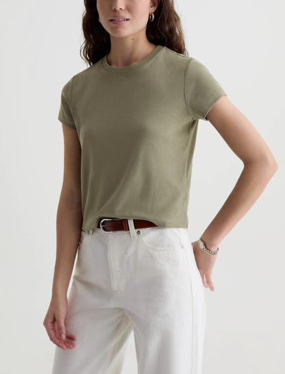 SPRUCE GREEN