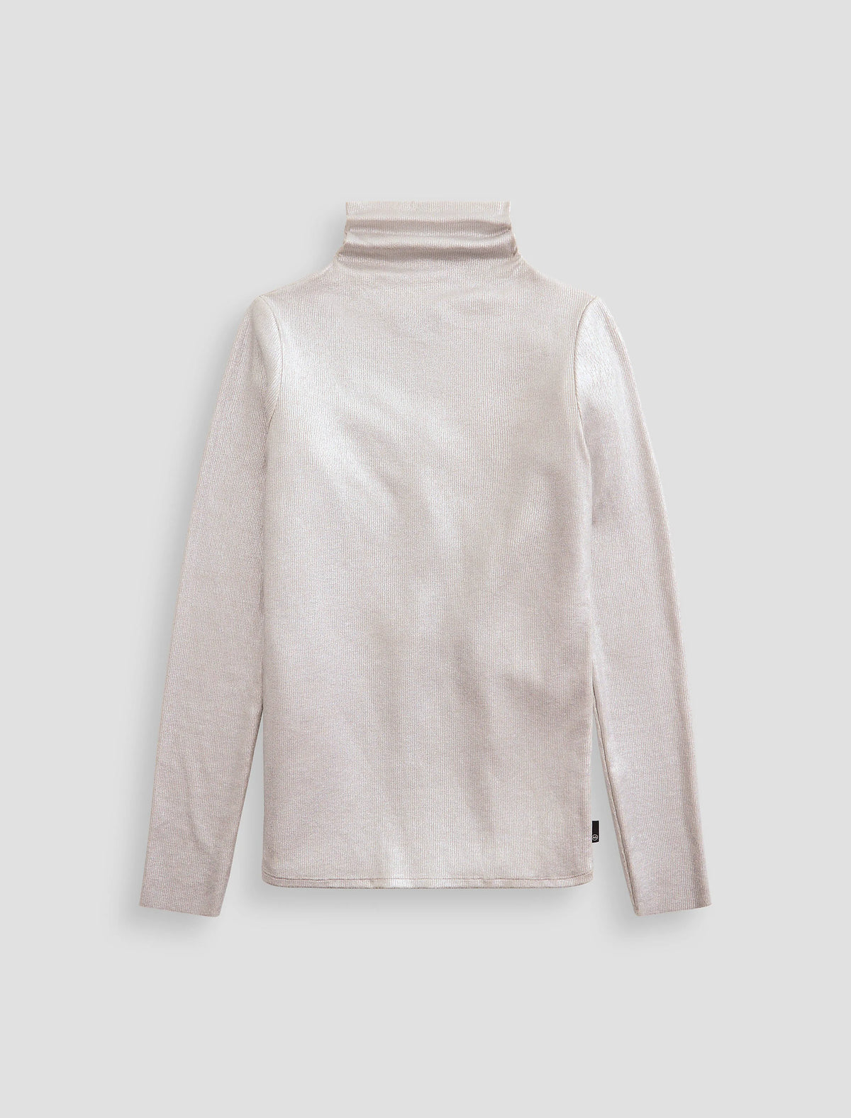 POWDER/SILVER