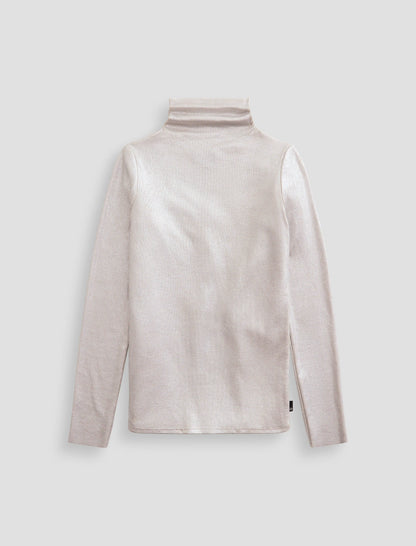 POWDER/SILVER